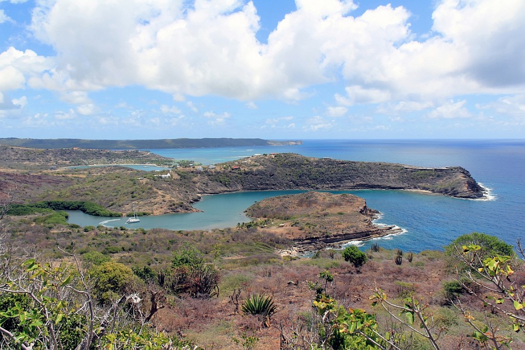 cruise14 (794).jpg